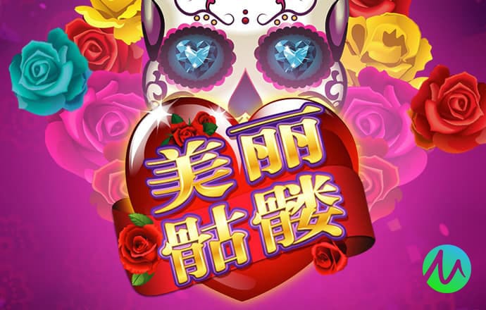 大红鹰dhy9999